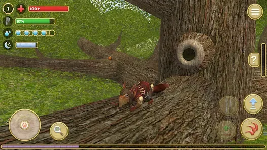 Screenshot 12